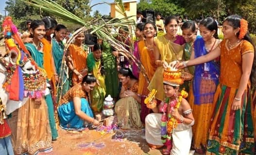 Pongal festival