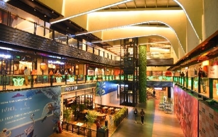 DLF Avenue Mall