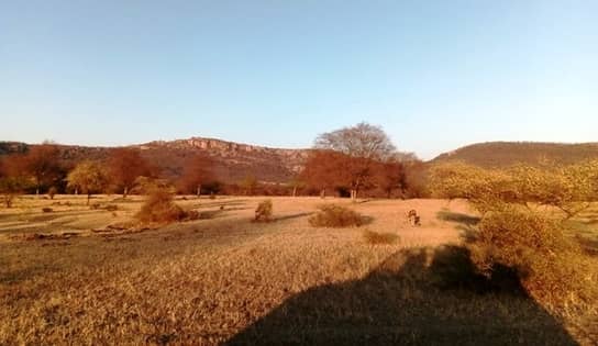 Ranthambore national park