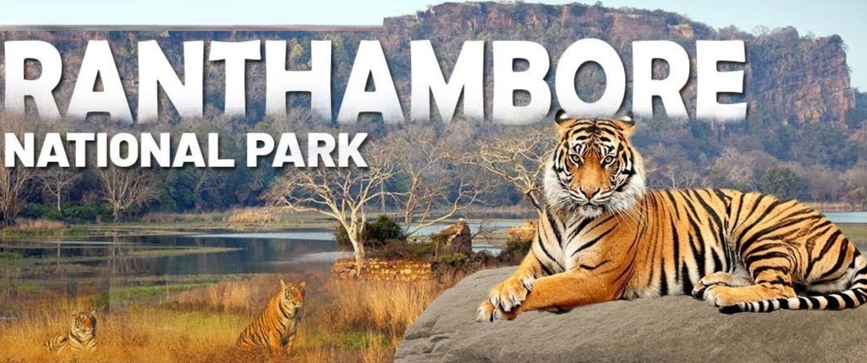 Ranthambore National Park