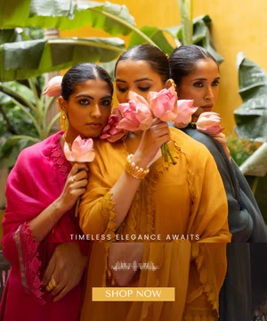 Vishnu store
