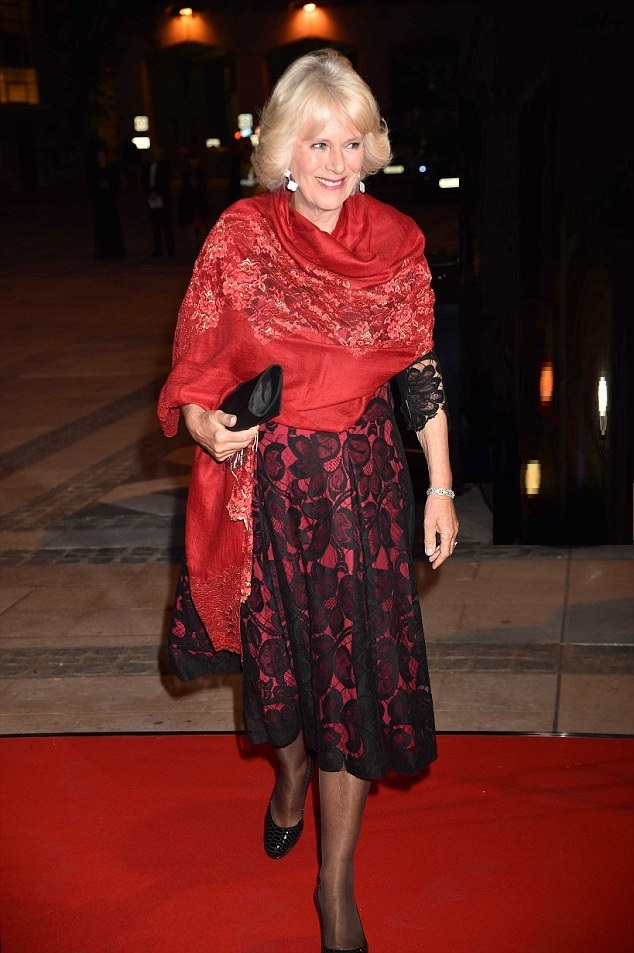 Top Shawls from India