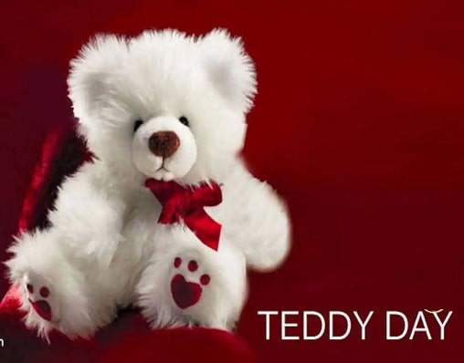 Teddy Day