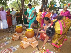 Pongal