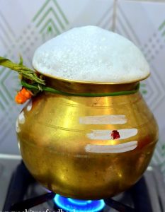 Pongal festival