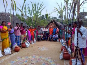 Pongal