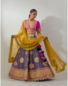 deisgner lehenga blouse design